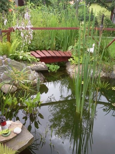 Widok na zatoczkę i mostek. drewniany .