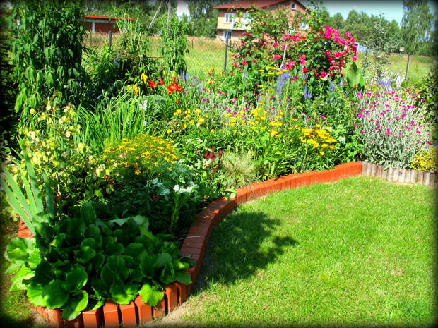 wiecznie kwitnąca całoroczna rabata. Prawie ;) od wiosny do późnej jesieni mogę podziwiać tu różnorodne kwitnące kwiaty, pełno tu pszczółek i pięknych motyli