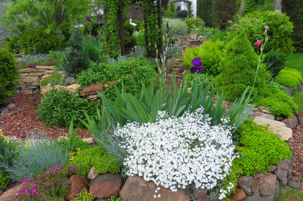 Wiosna wszystko budzi sie do zycia.