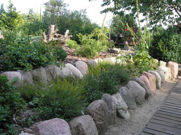 Wrzosowisko na kamiennych półkach różnicuje krajobraz.