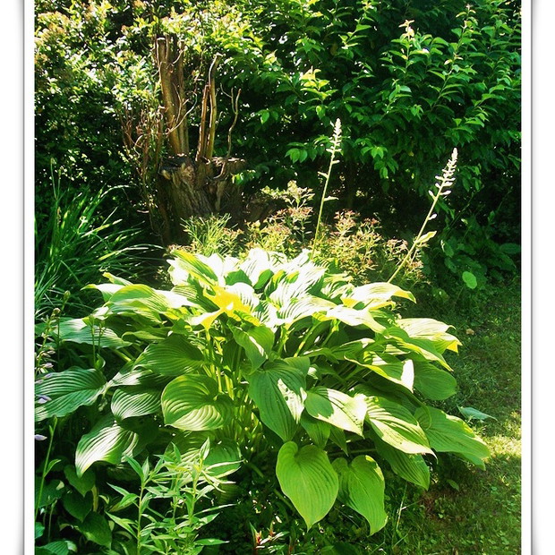 Z funkią w roli głównej.