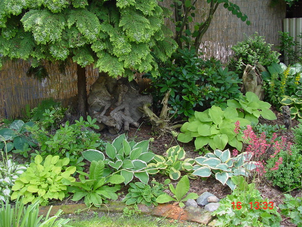 zbieram wszystko, co może się przydać ( podobno tylko mi się przydaje ;-) )