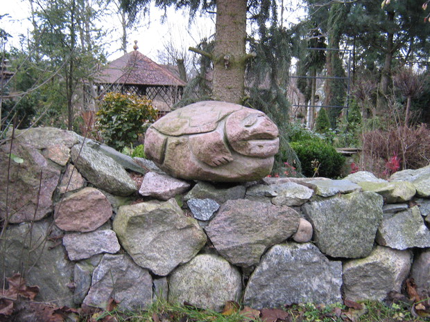 Żółw znajduje się niedaleko stawu. Wygląda jakby wygrzewał się na murku.