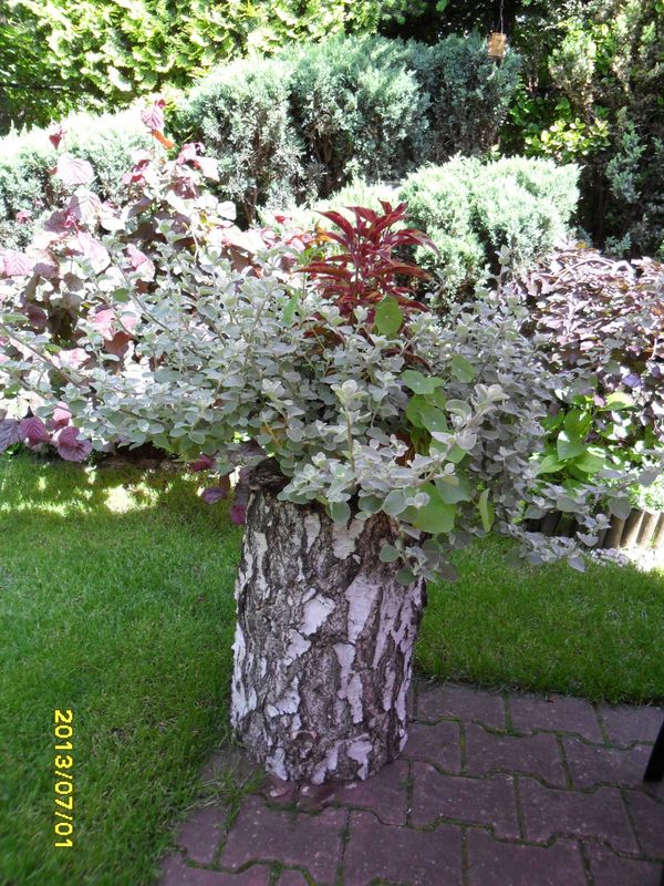 -----------------------