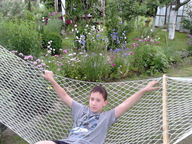 Aleksander na hamaku 