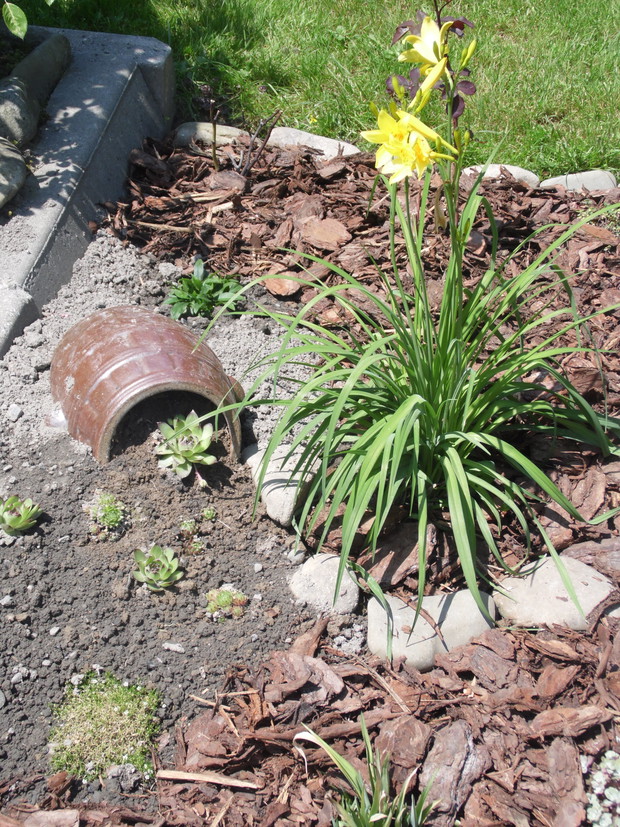 Boczna część skalniaka - wykorzystanie starych nie potrzebnych przedmiotów.