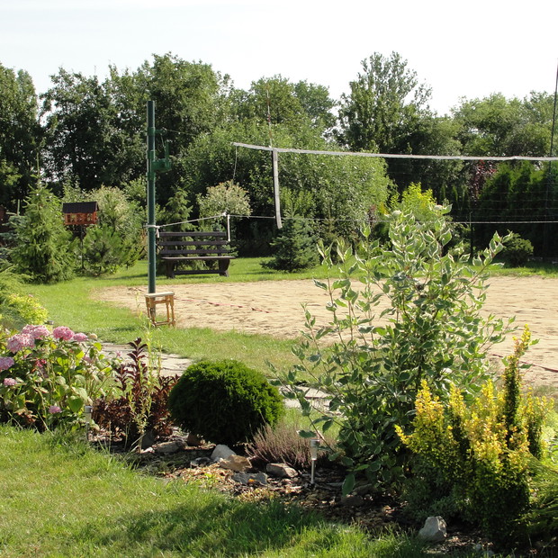 Boisko do gry w piłkę plażową, w tle świerkowy zagajnik.