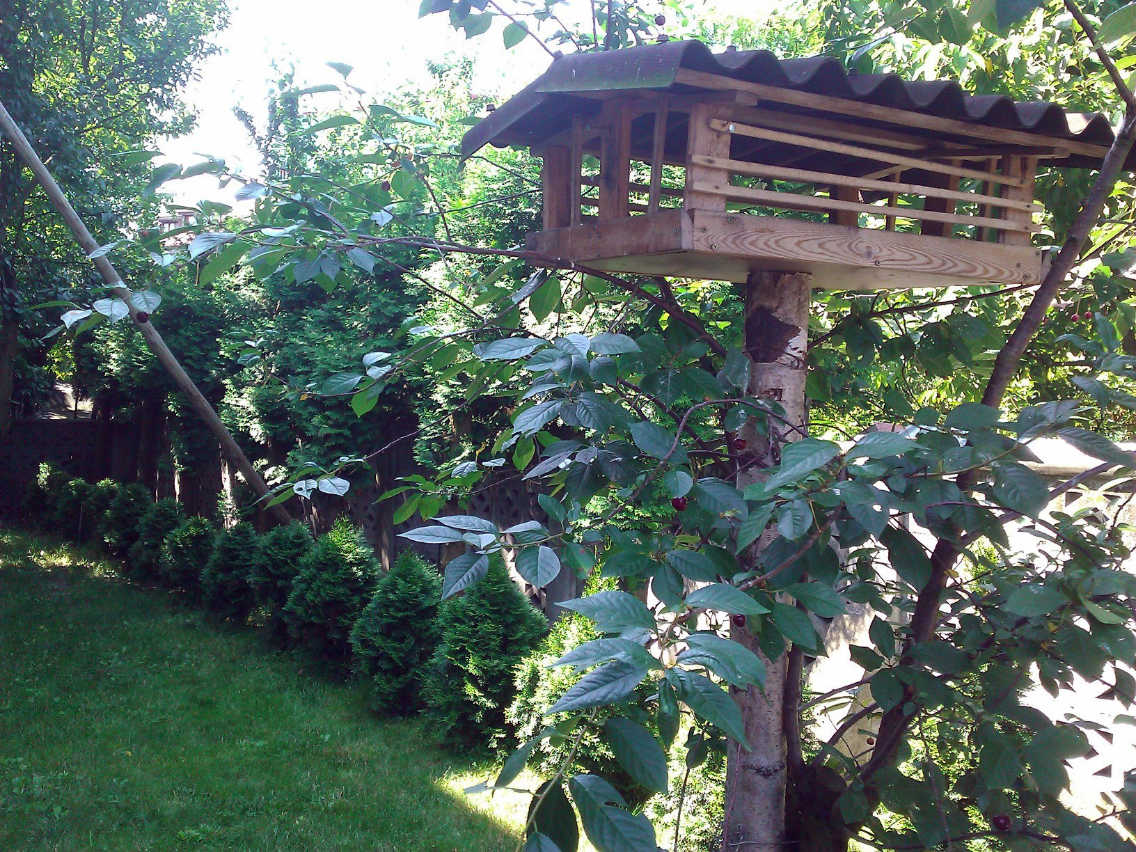 Całoroczny karmnik dla ptaków zabezpieczony deseczkami przeciwko atakom naszego kota i jego kolegów z sąsiedztwa. Jest v/v okna kuchennego, więc nawet w największe mrozy wystarczy jeden zamach ręką z kuchni i okruszki lądują w karmniku.