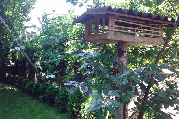 Całoroczny karmnik dla ptaków zabezpieczony deseczkami przeciwko atakom naszego kota i jego kolegów z sąsiedztwa. Jest v/v okna kuchennego, więc nawet w największe mrozy wystarczy jeden zamach ręką z kuchni i okruszki lądują w karmniku.