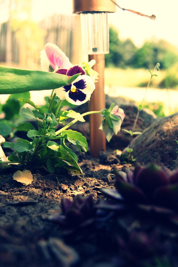 Czerpiąc ze słońca.