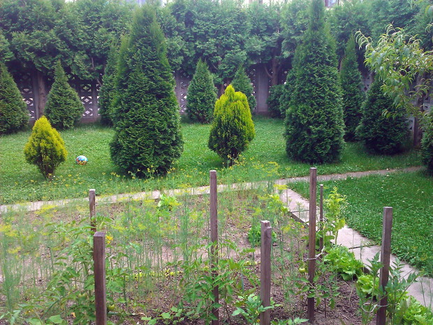 Część warzywna i rekreacyjna oddzielona alejkami