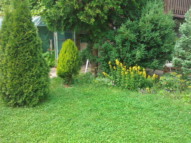 Część wypoczynkowa z mini kwietnikiem zmieniającym kolory w zależności od pory roku