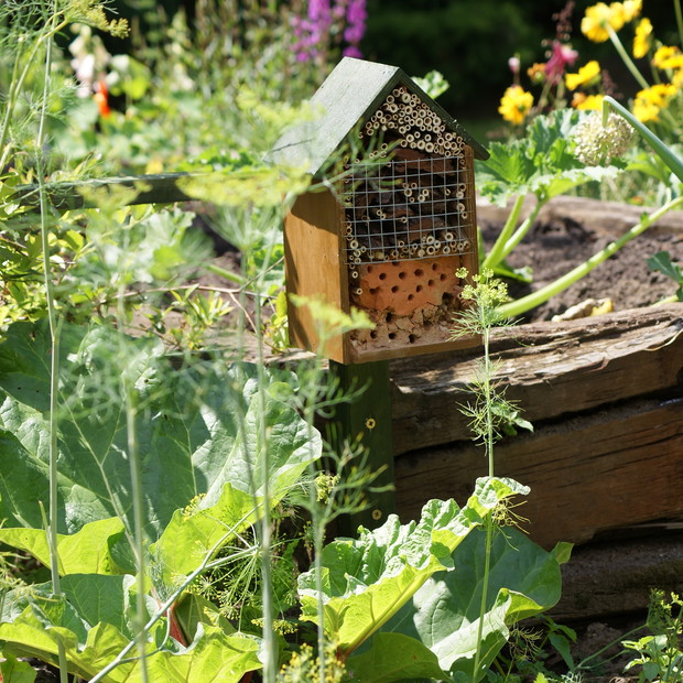 Domek dla owadów. Dzieło mojego męża, mamy ich trzy sztuki i na pewno na tym się nie skończy. Tak się mu to spodobało, że zaczyna produkcję dla znajomych i rodziny.