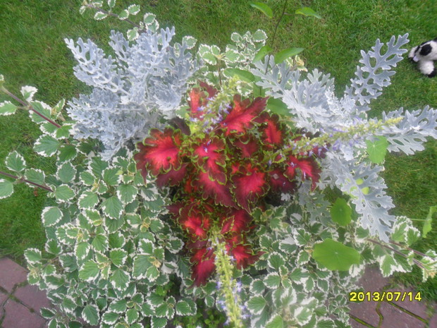 -------------------------