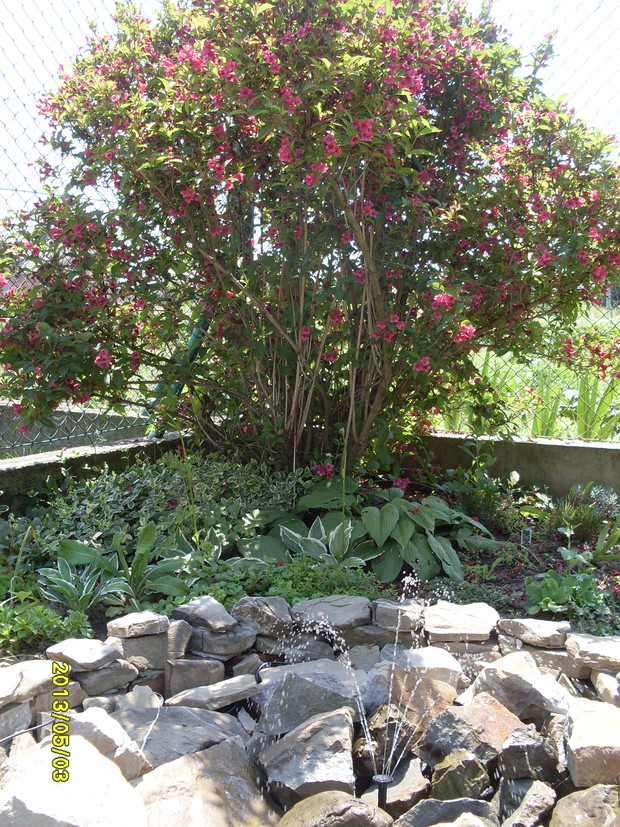 Fontanna zrobiona z wkopanego w ziemię wiaderka i pompy solarnej.