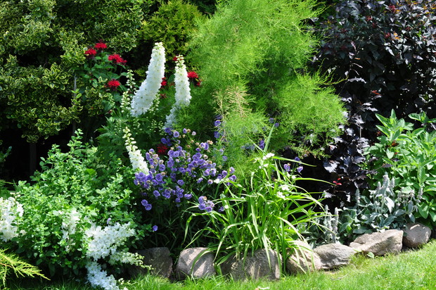 JEDNA Z PIERWSZYCH RABAT