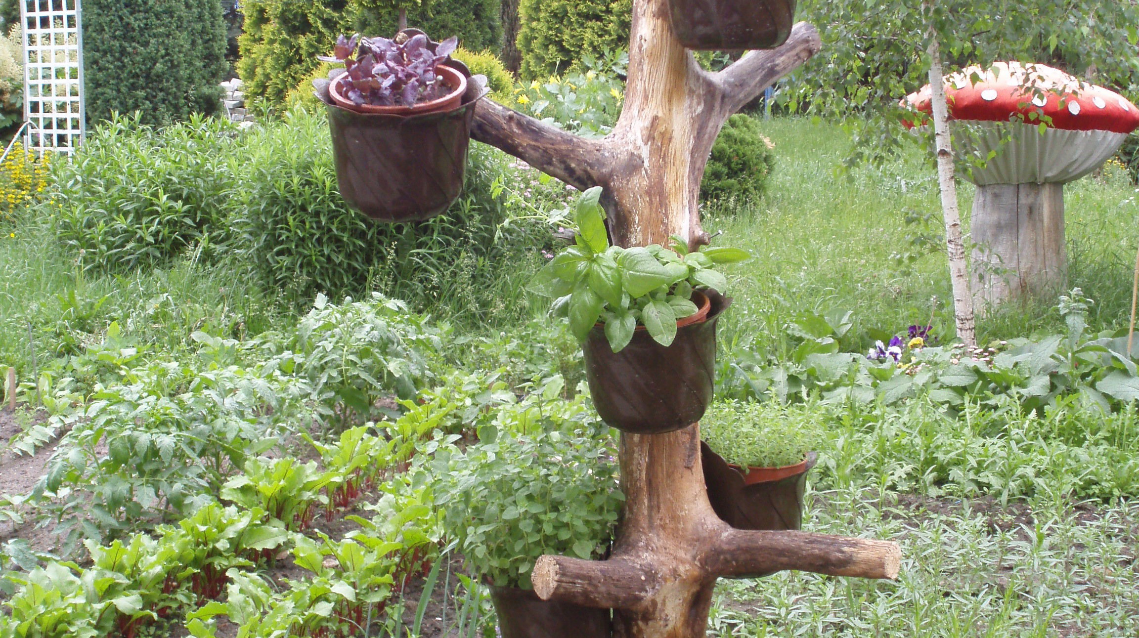 Każdy może zrobić pachnącą kompozycję z ulubionych ziół