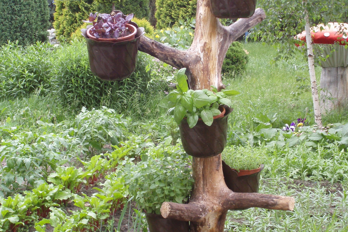 Każdy może zrobić pachnącą kompozycję z ulubionych ziół