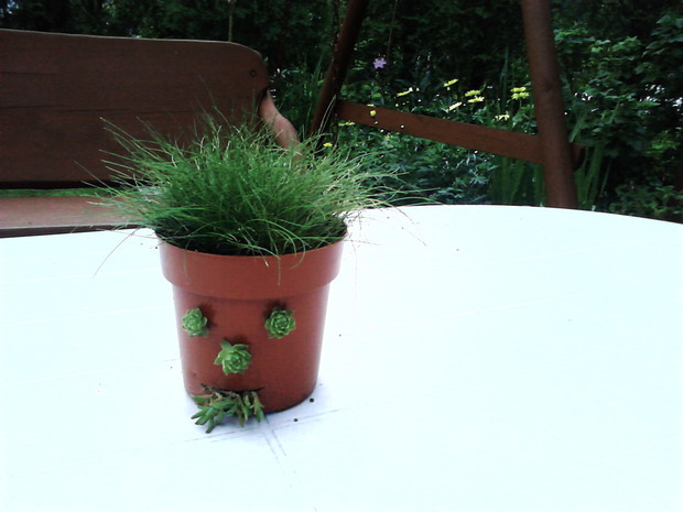 Kompozycja Aleksandra