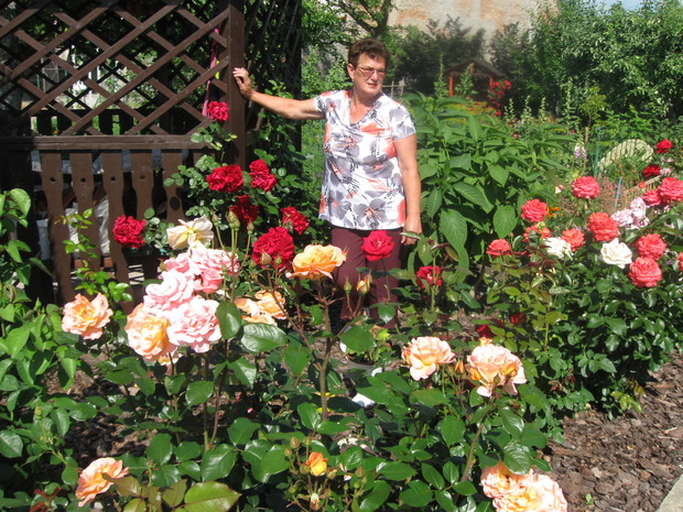 Królowe kwiatów i ja