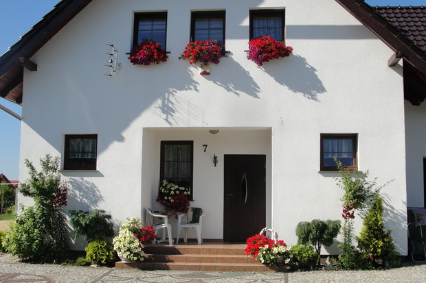 Kwitnące surfinie w donicach to coroczna letnia ozdoba, bo kwiaty są nieodłącznym elementem mojego ogrodu.