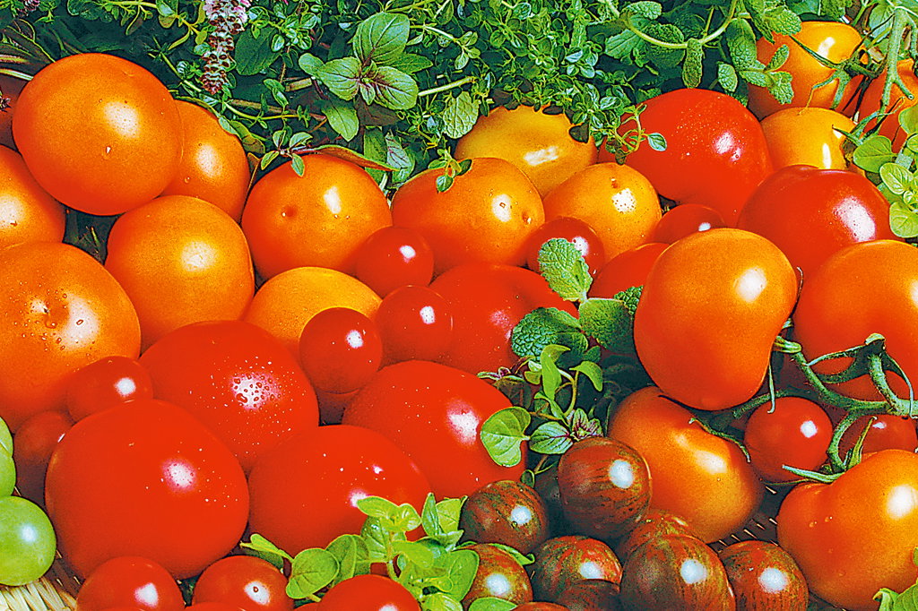 Na warzywnych straganach można kupić odmiany żółte, pomarańczowe, a nawet w paski