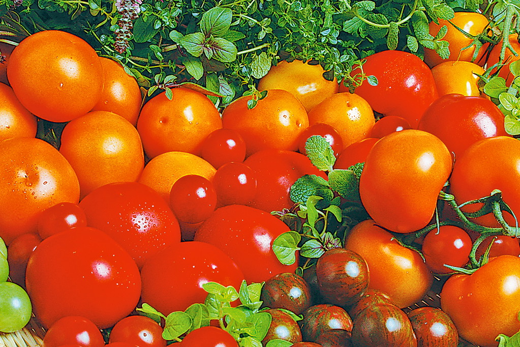 Na warzywnych straganach można kupić odmiany żółte, pomarańczowe, a nawet w paski