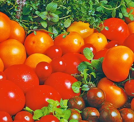 Na warzywnych straganach można kupić odmiany żółte, pomarańczowe, a nawet w paski