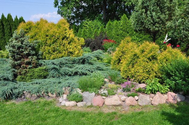 NAJMŁODSZY SKALNIAK