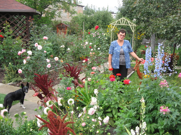 Nie tylko róże są piękne