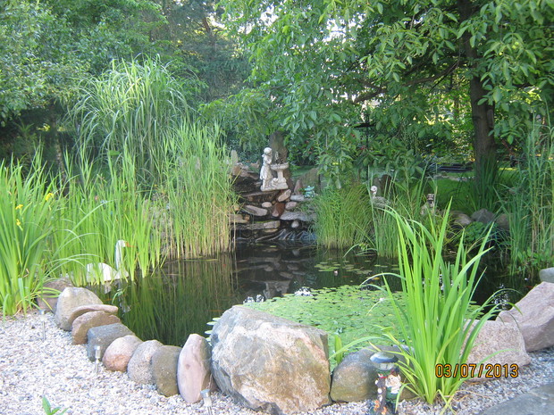 Oczko wodne - raj dla oczu