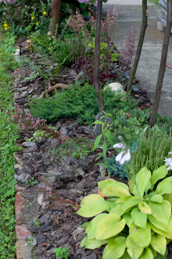 od drugiej strony skalniaczek