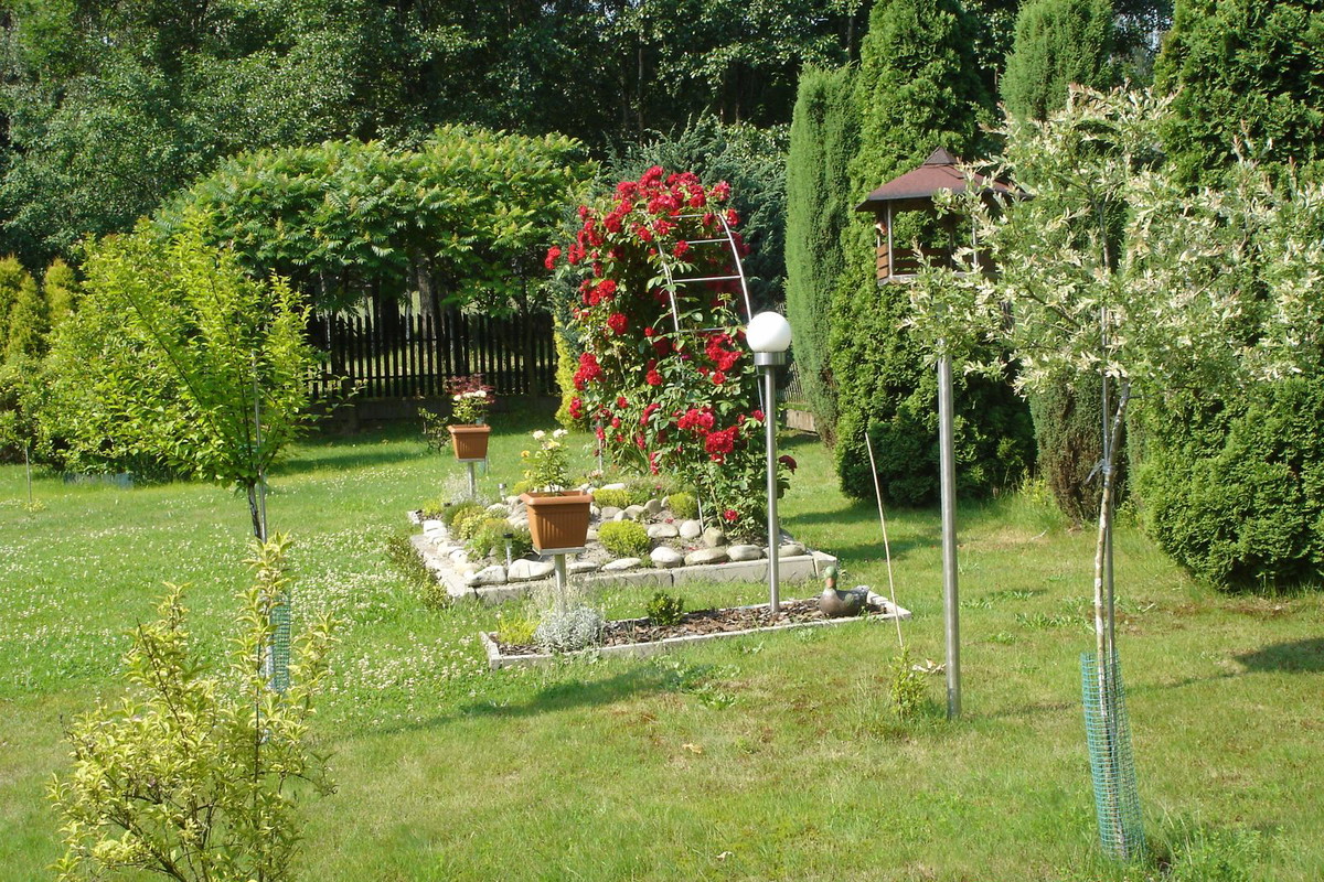 Ogród
