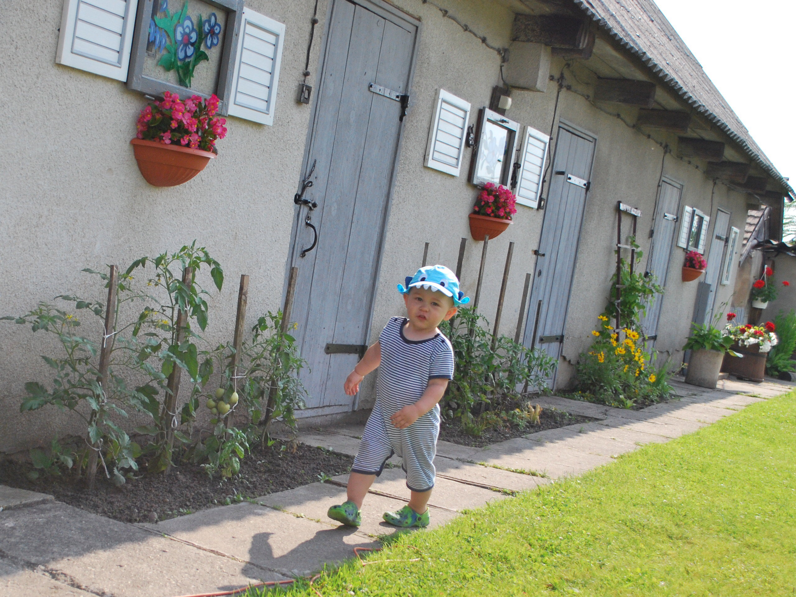 Ogrodnik doskonały!