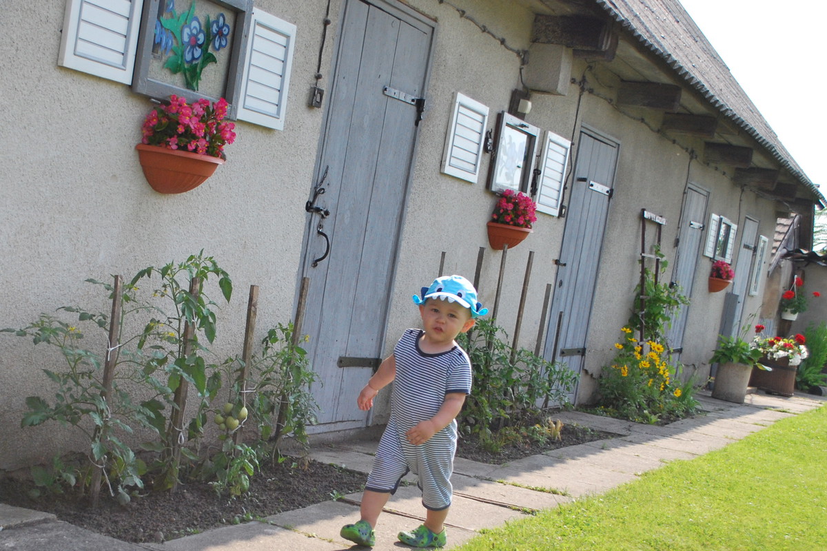 Ogrodnik doskonały!