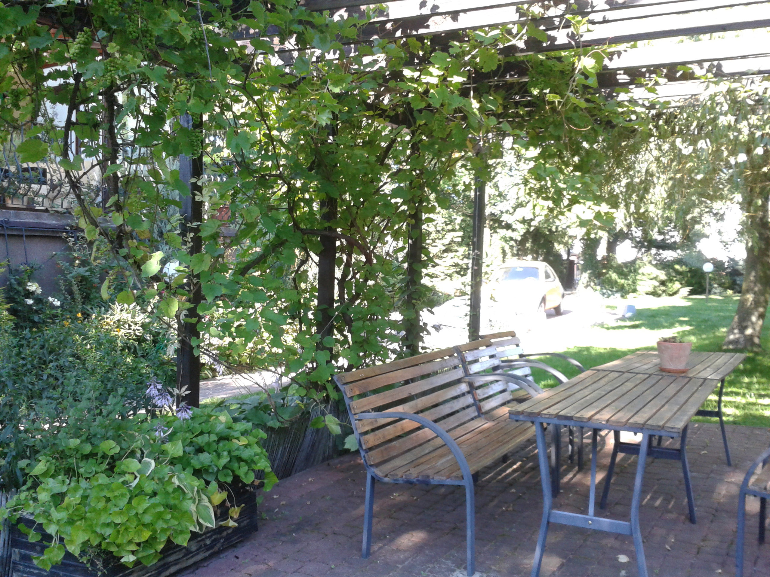 ogrodowa jadalnia zaprasza