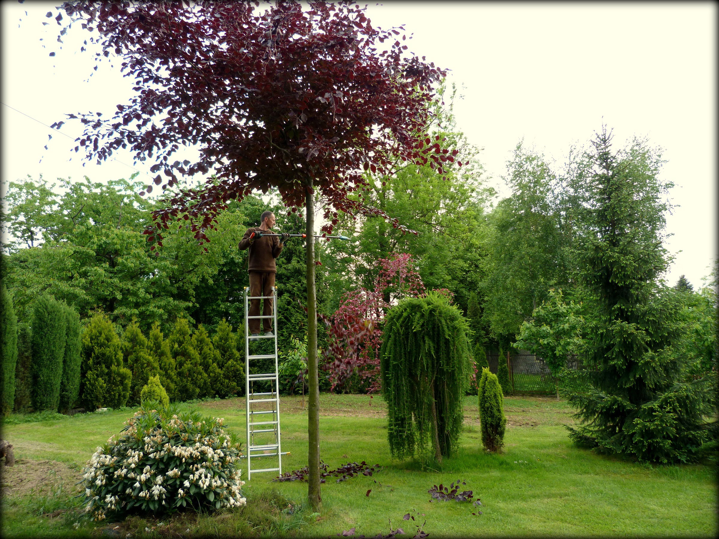 Pielęgnacja ogrodu :)