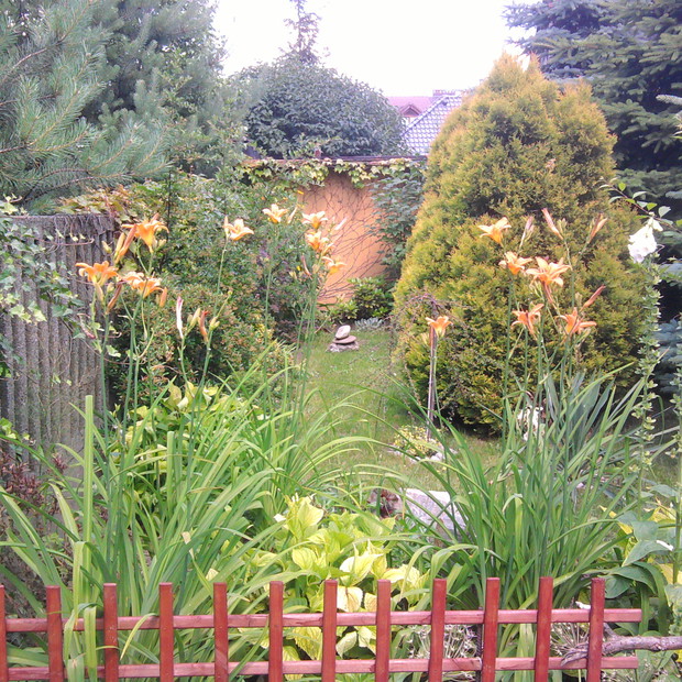 płotek przy wejściu