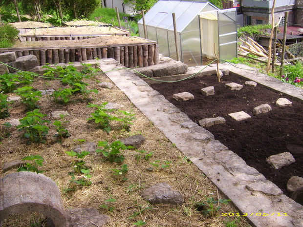 Przed sadzeniem, w maju