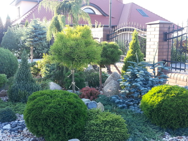 Przy wejściu do domu