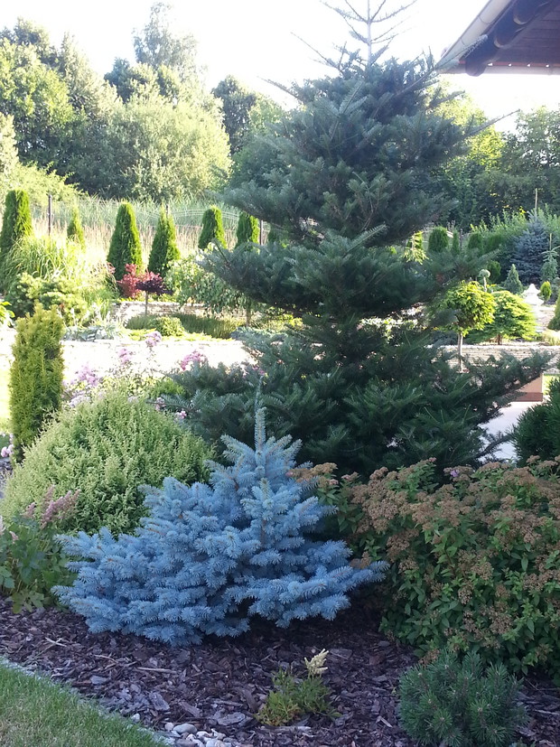 Rabatka przy tarasie