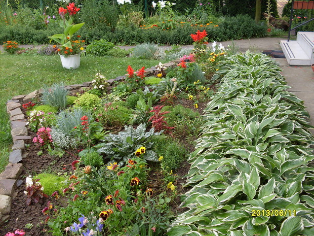 Rabatka z funki,tulipanów, bratków i wielu innych roślin.