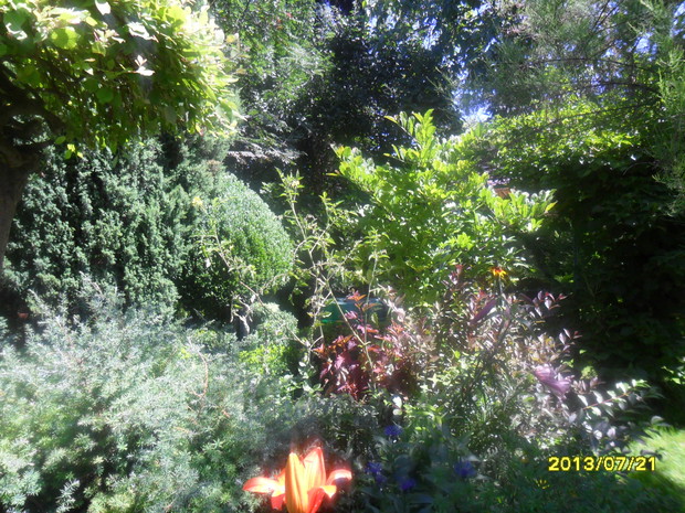 rozne odcienie zieleni