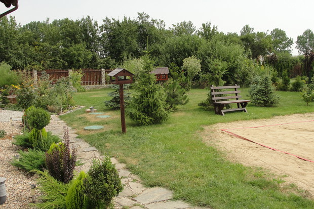 Ścieżka przy domu prowadząca na taras, w tle świerkowy zagajnik.