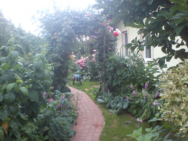 ścieżynka do maminego ogródka