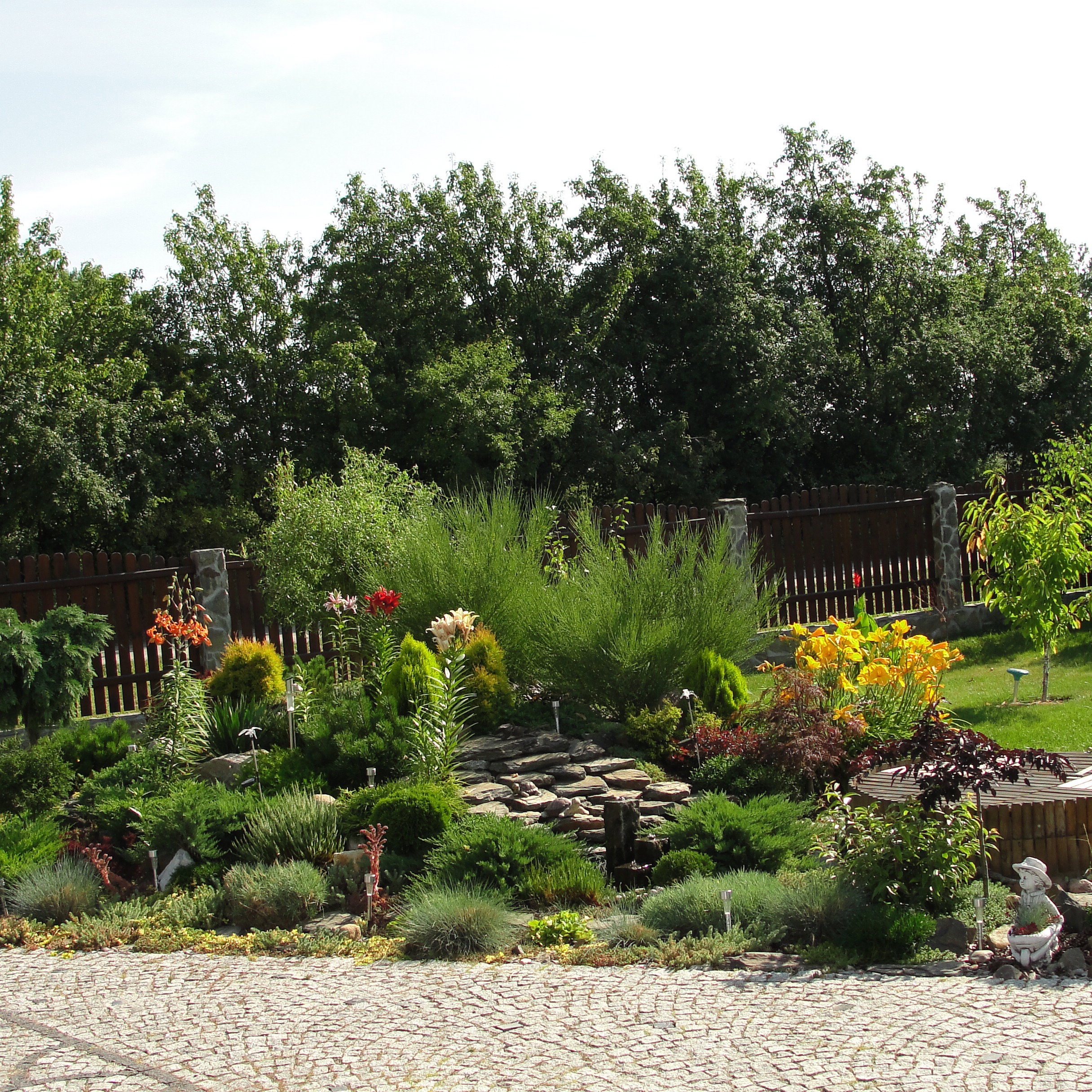 Skalniak na skarpie przed domem.