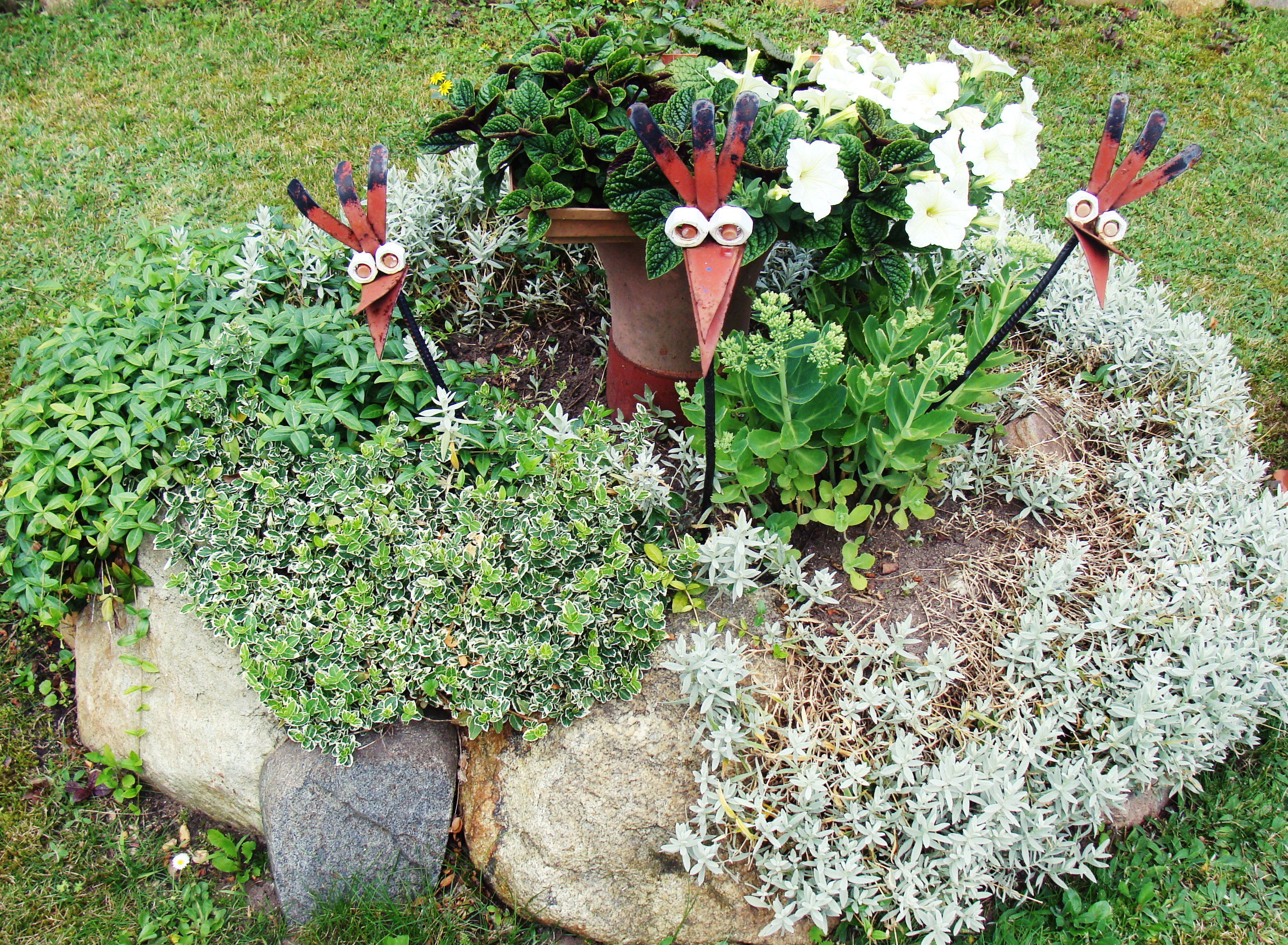 Skalniak przed ogródkiem
 w skalniaku głowy ptaków zrobione przez męża