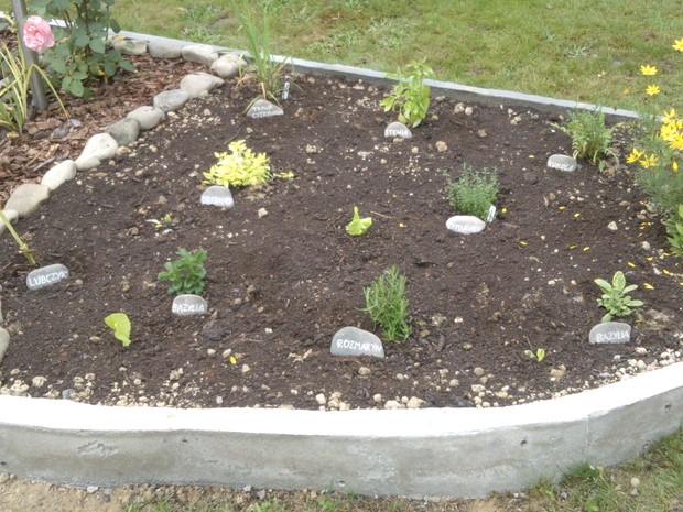 Skalniak z opisanymi kamieniami z nazwami ziół