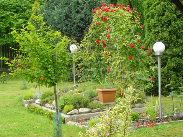 Skalniak z pergolą z różami