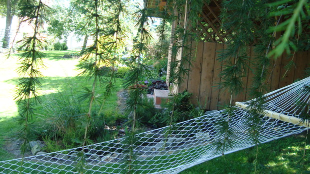 spaniały odpoczynek pod modrzewiem